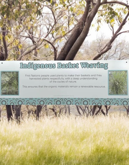 Bush Tucker plants and their uses