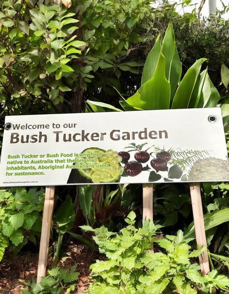 Indigenous bush tucker garden resource