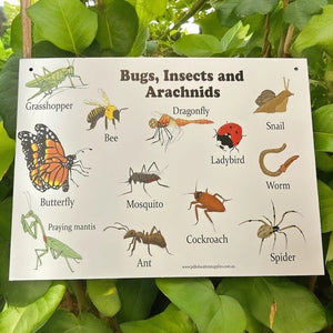 Corflute Sign: Bugs, Insects & Arachnids