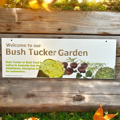 Bush Tucker Garden