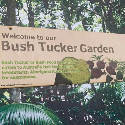 Bush Tucker Garden