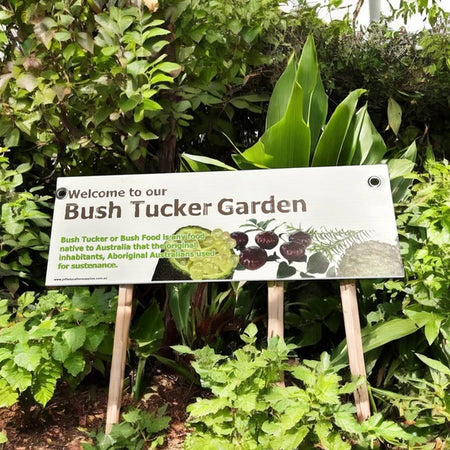Indigenous bush tucker garden resource