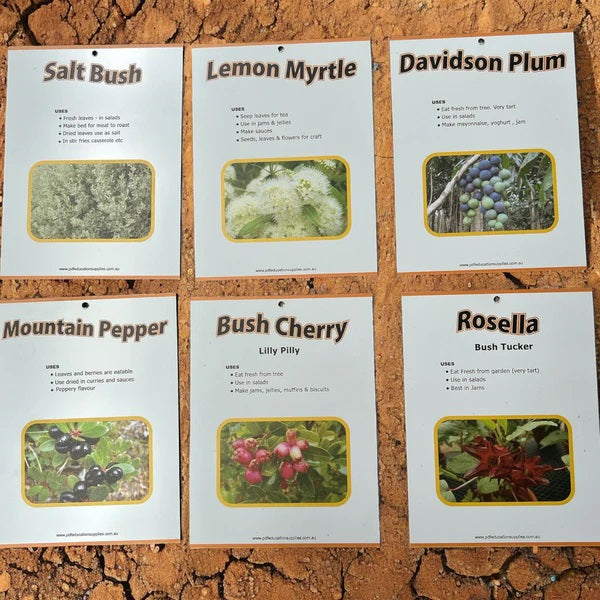 bush tucker plants