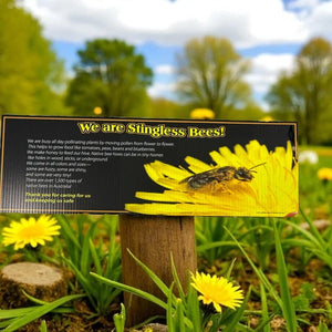 learn about stingless bees outdoor sign