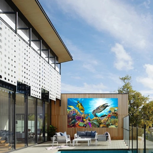 sea life image for pool areas