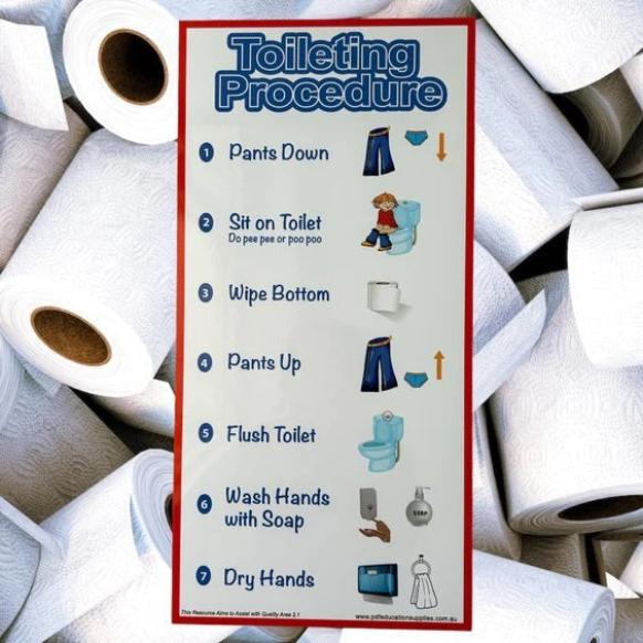 easy to follow pictures assisting with toilet training