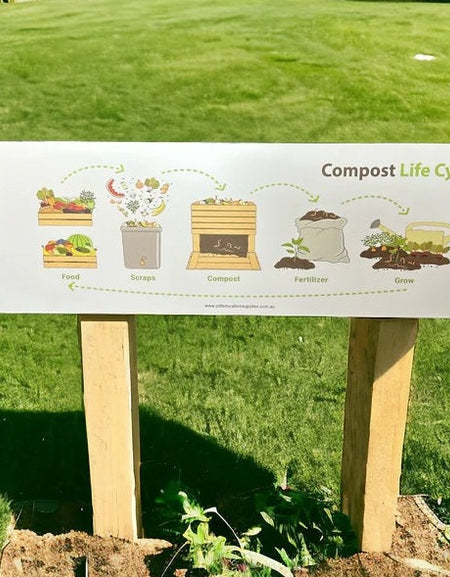 outdoor learning about composting process