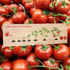 Wood Sign: Life Cycle of a Tomato