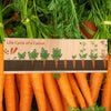Wood Sign: Life Cycle of a Carrot