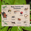 Childcare-outdoor-learning-sign-on-bugs