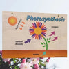 Wood Sign: Photosynthesis