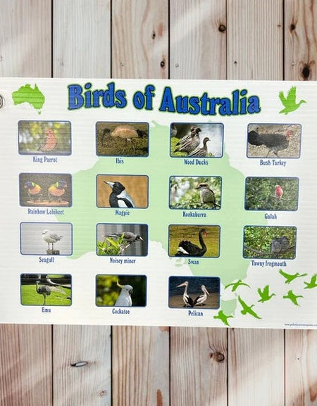 outdoor learning resource