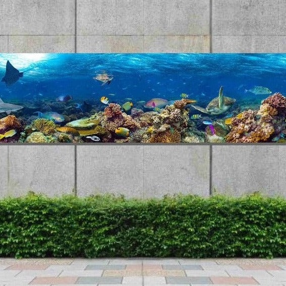 real-life-photo-underwater